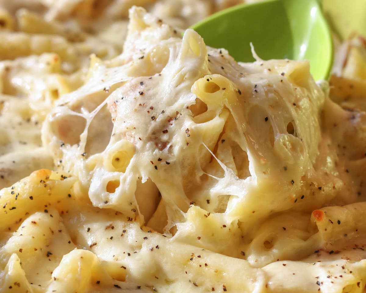 A close up of chicken alfredo casserole being scooped from a baking dish.