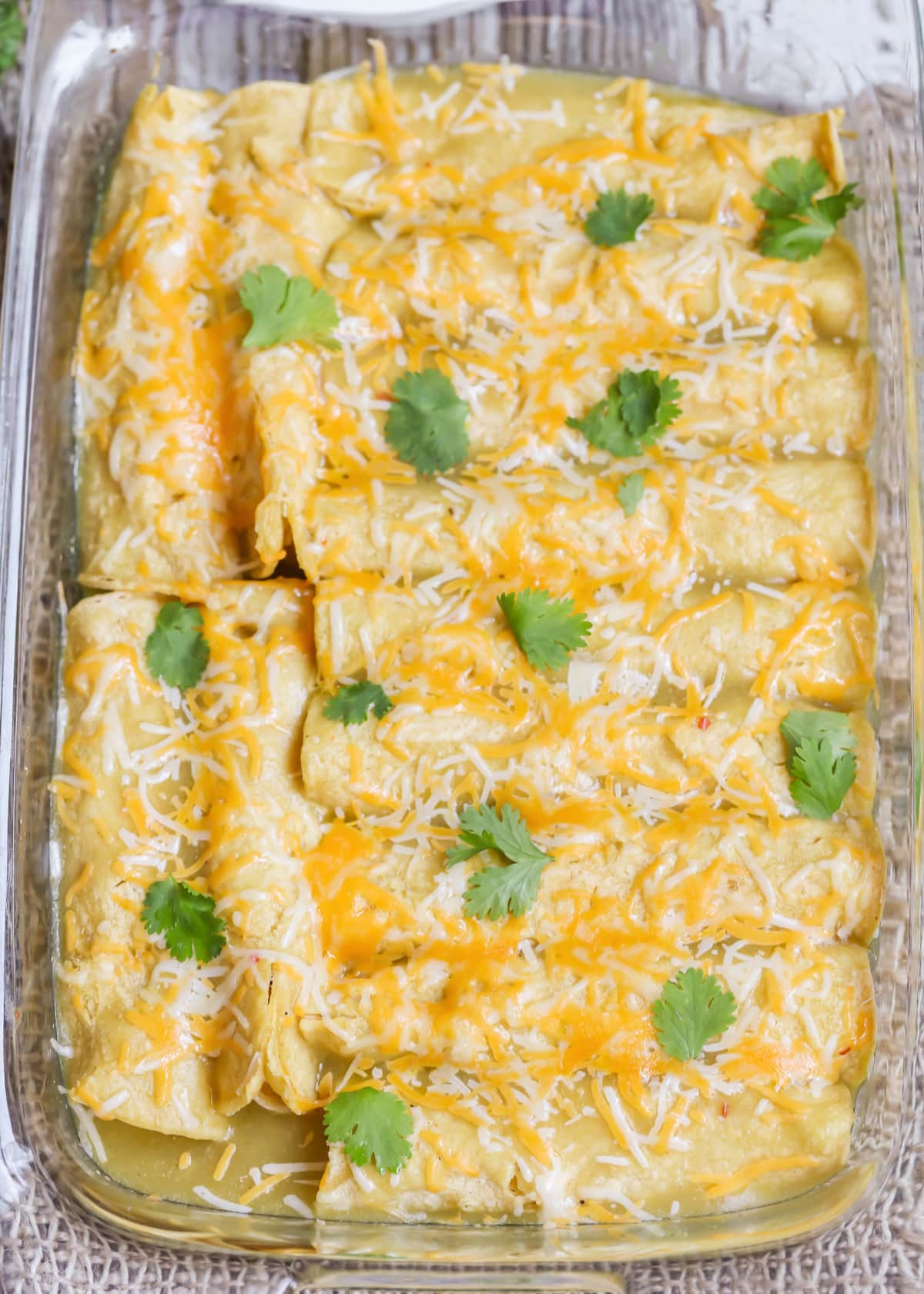 Easy green chicken enchiladas in a casserole dish topped with cilantro