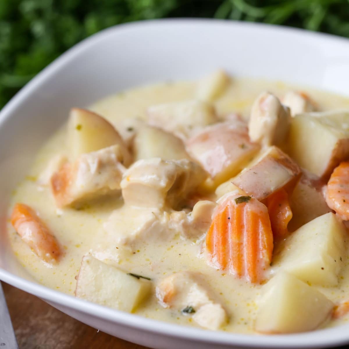 Crockpot soup recipes - crock pot chicken stew in a white bowl.