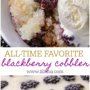 Easy Blackberry Cobbler Recipe | Lil’ Luna