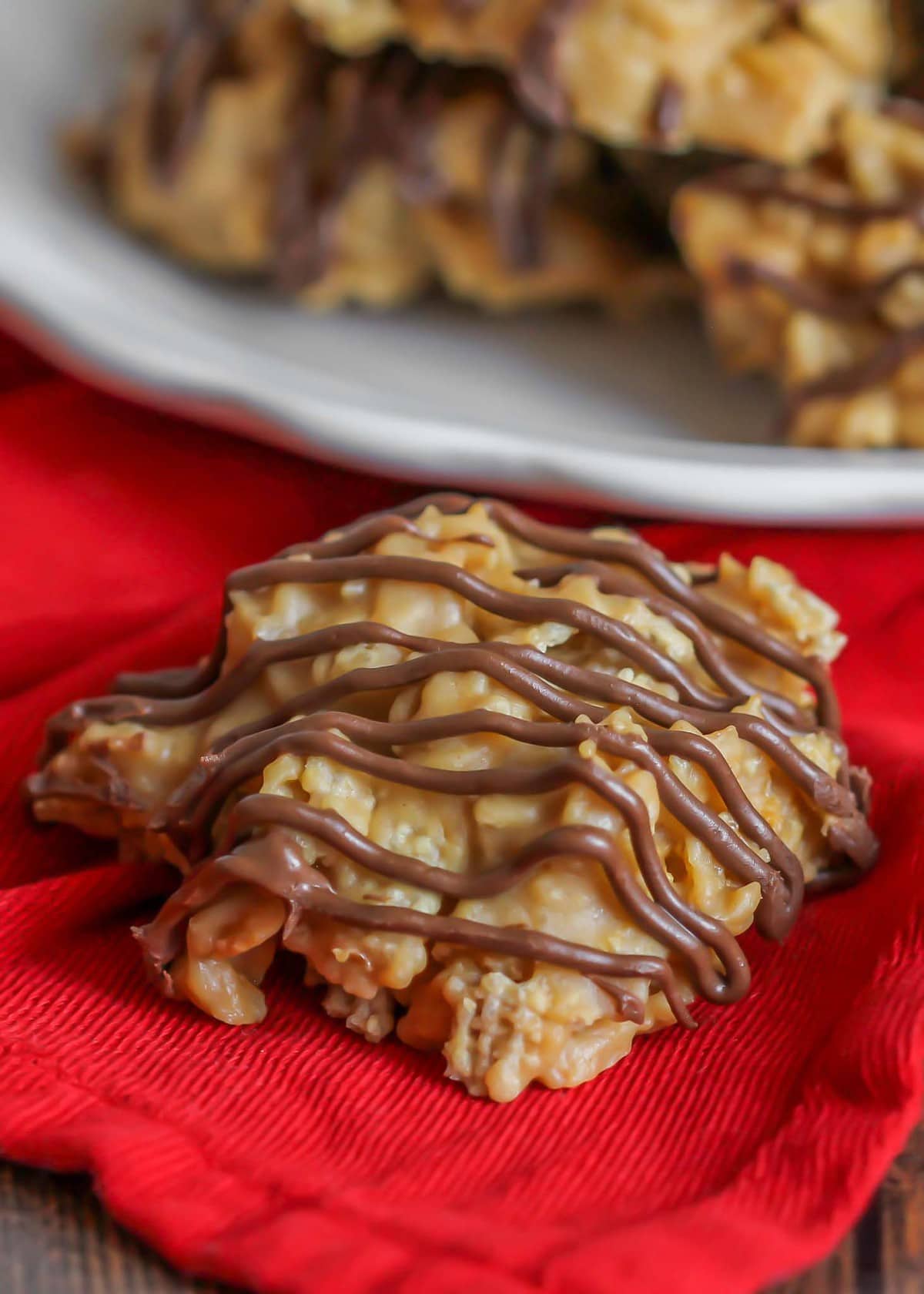 close up of peanut butter chew drizzled in chocolate