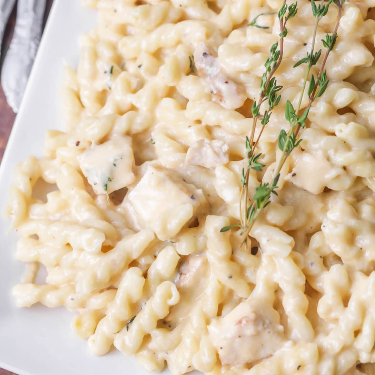 Cheesy chicken pasta on a plate
