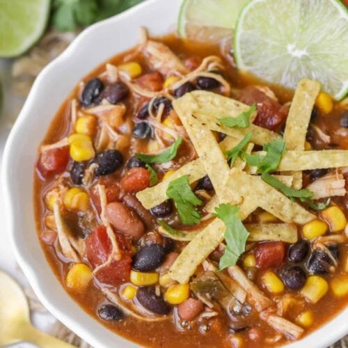 Easy Chicken Taco Soup Recipe - so simple and so good! | Lil' Luna