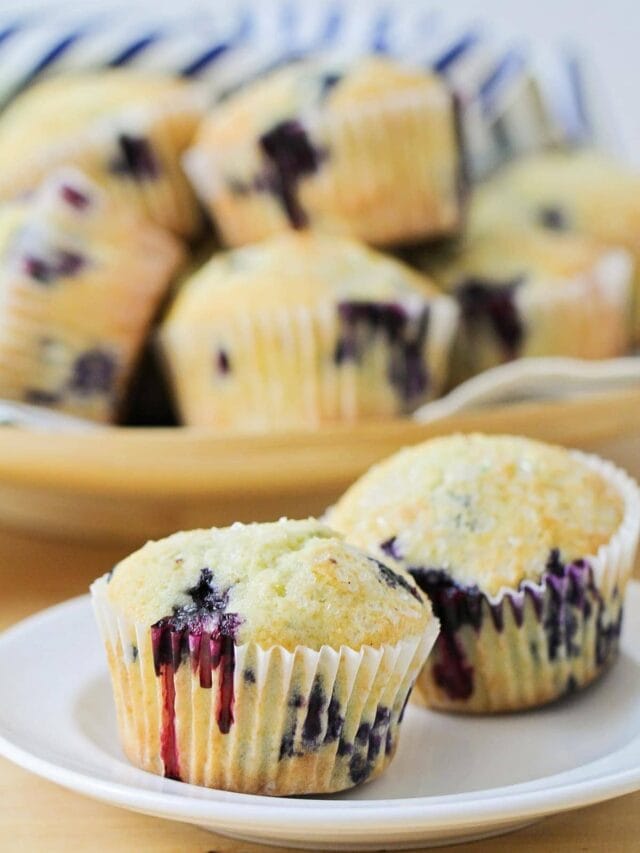Blueberry Muffins - Lil' Luna