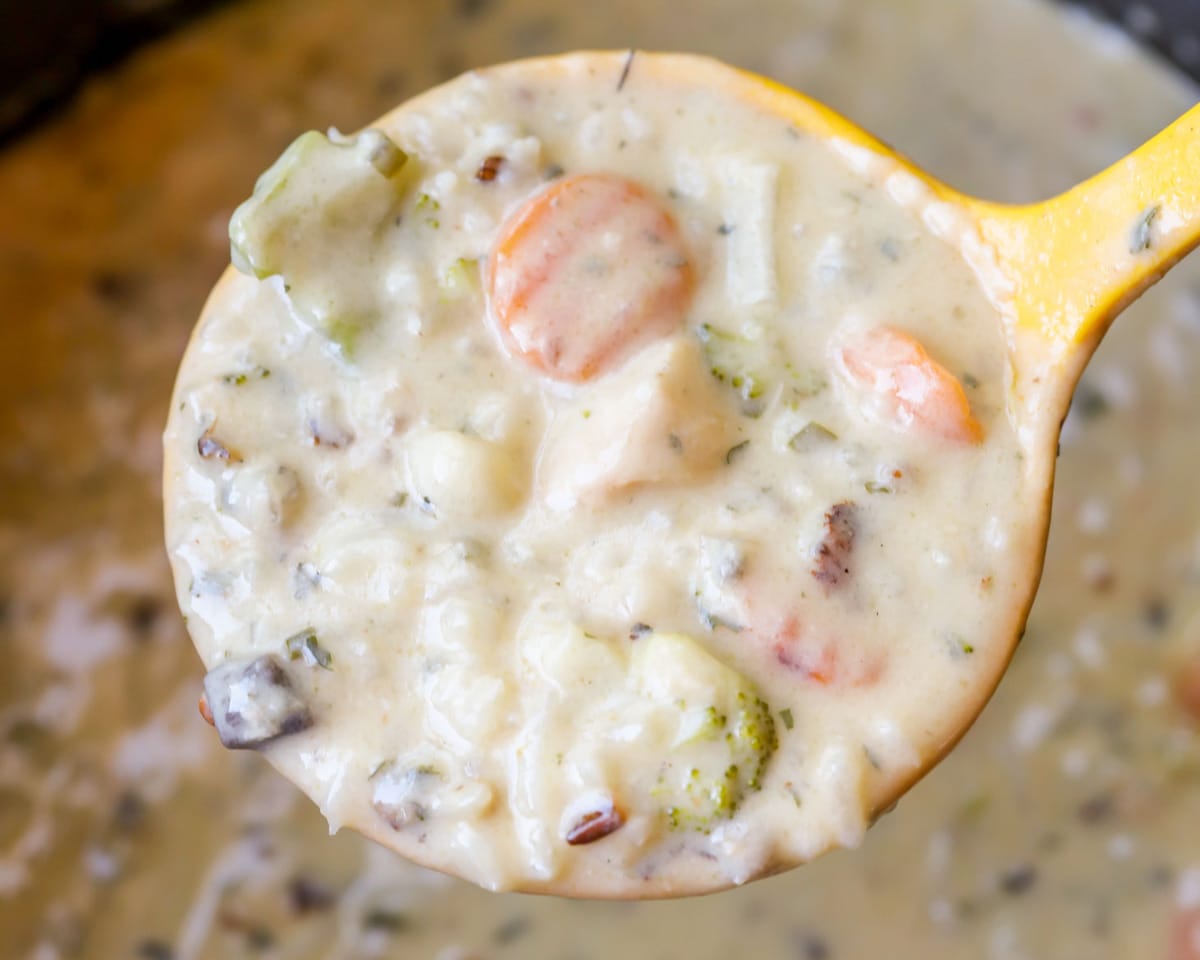 a ladle full of Easy Chicken and Rice Soup