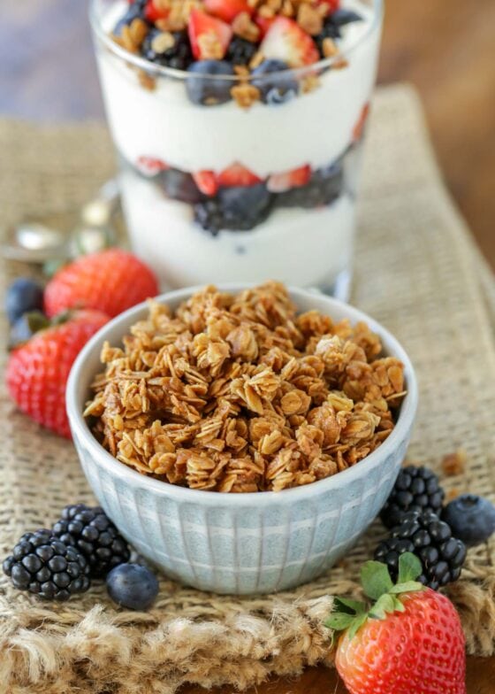 EASY Homemade Granola Recipe | Lil' Luna