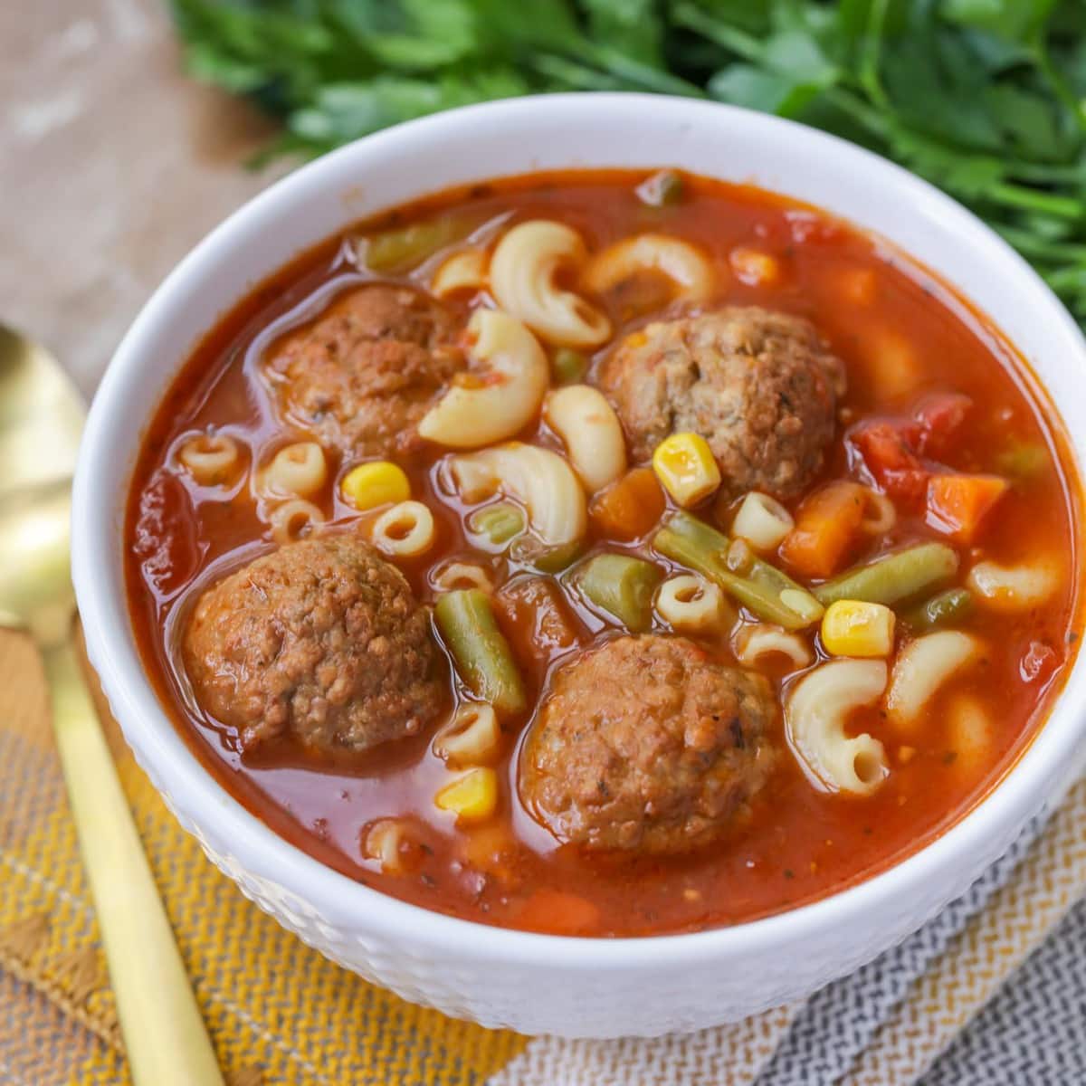 Meatball Soup loaded with noodles and veggies