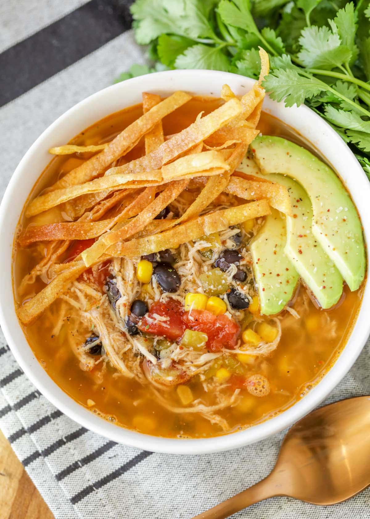 Chicken Tortilla Soup Easy Crock Pot Meal Video Lil Luna