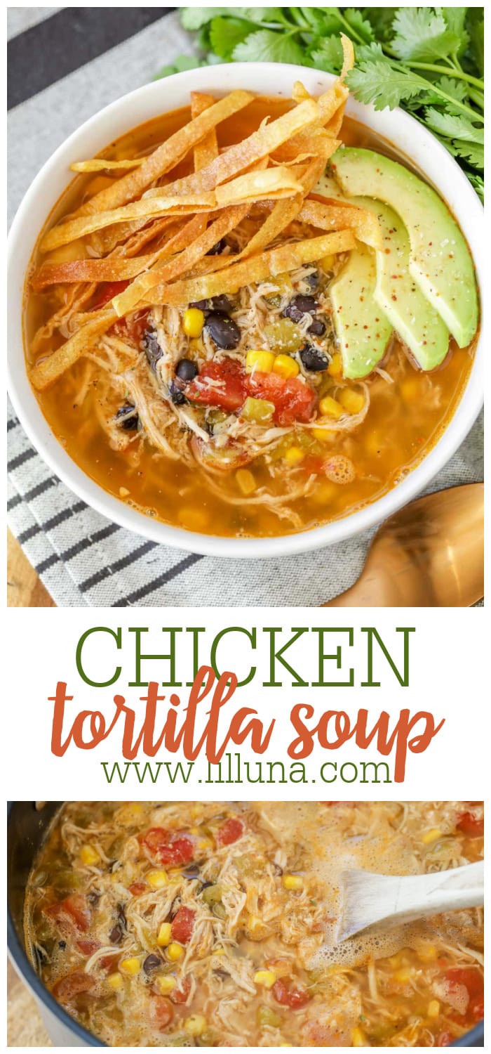 The list of 16 tortilla crock pot soup 3 Easy Chicken Tortilla Soup {+VIDEO} - Lil' Luna
