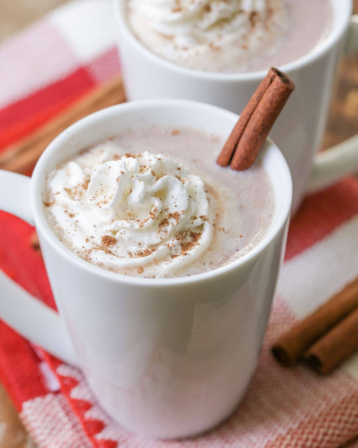 Mexican Hot Cocoa in a white mug with a cinnamon stick