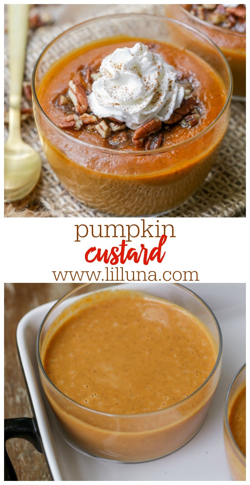 Easy Pumpkin Custard Recipe | Lil' Luna