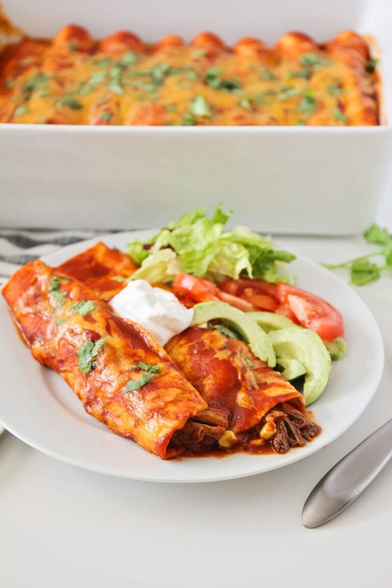 BEST Homemade Red Enchilada Sauce {+VIDEO} Lil' Luna