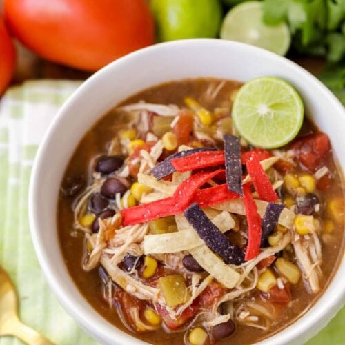 Slow Cooker Chicken Tortilla Soup - Healthy Seasonal Recipes