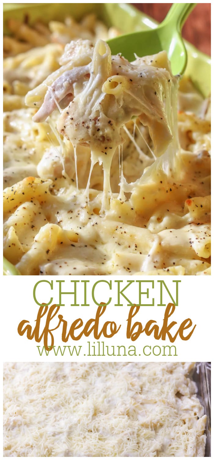 Cheesy Chicken Alfredo Bake (+VIDEO) | Lil' Luna