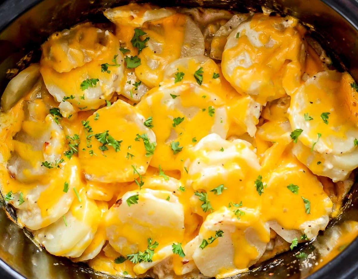 Thanksgiving side dishes - crock pot scalloped potatoes topped with herbs.