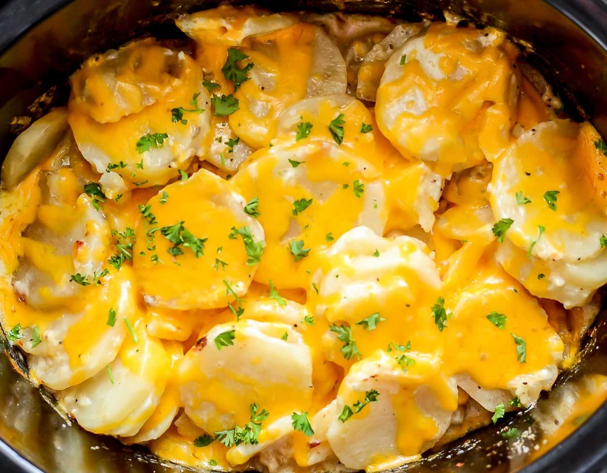 Crock Pot Scalloped Potatoes {Easy & Cheesy} | Lil' Luna