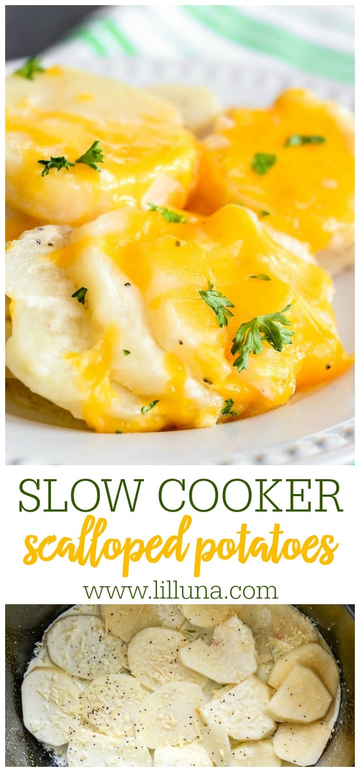 Crockpot Scalloped Potatoes Easy & Cheesy Lil' Luna