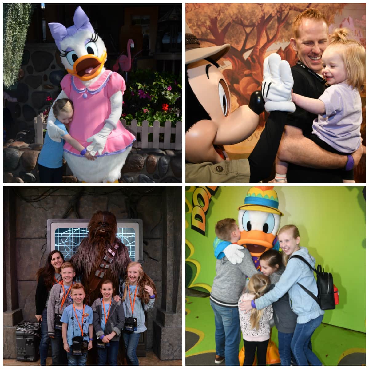 Disney World Character Meet and Greets