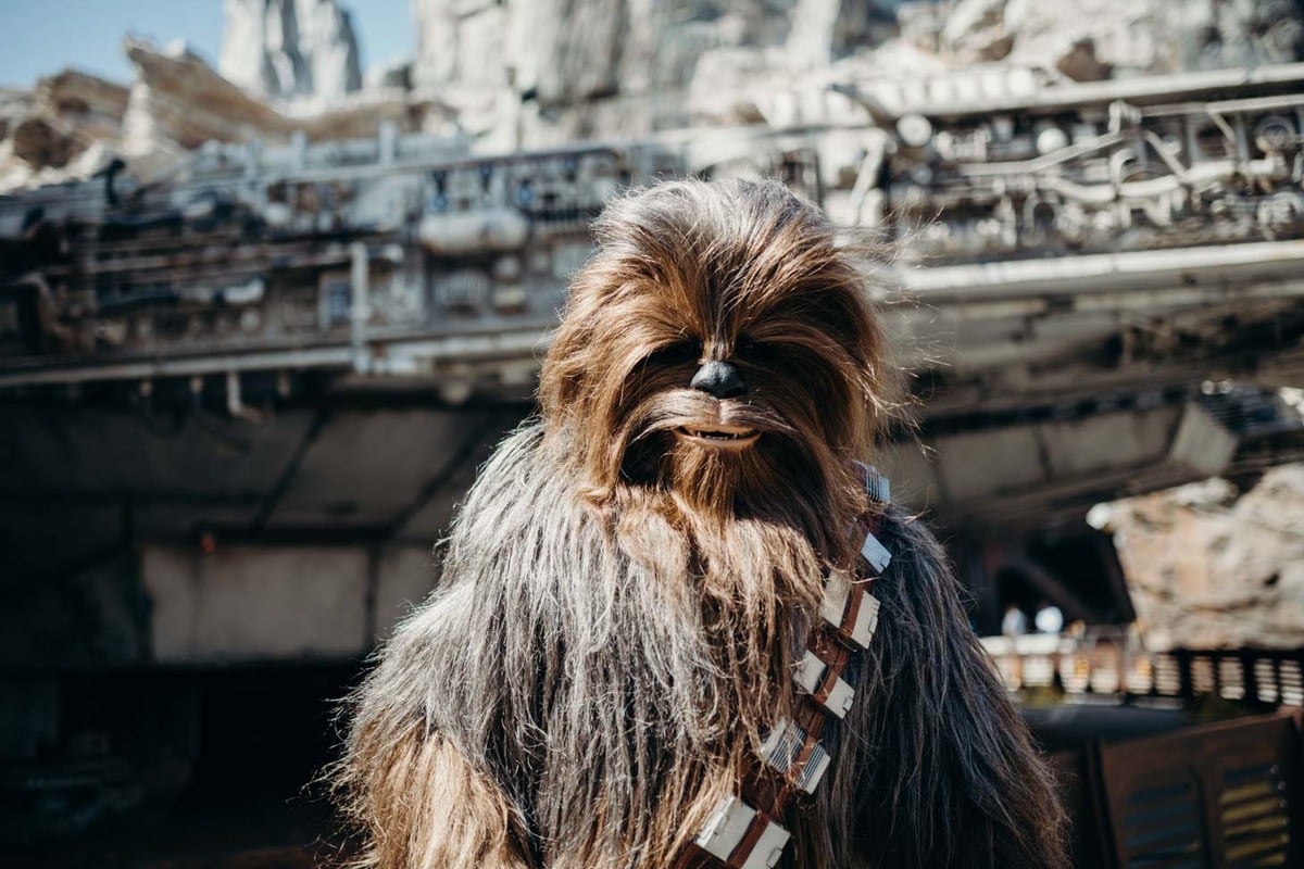 Chewy in front of Smugglers Run