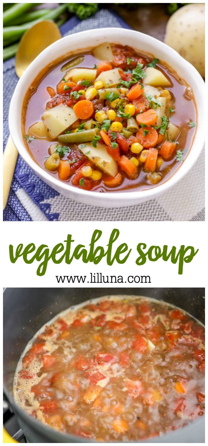 Homemade Vegetable Soup Recipe | Lil' Luna