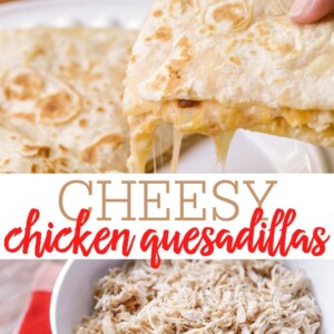 Chicken Quesadilla Recipe | Lil' Luna