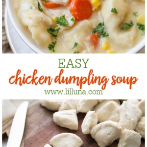 Super Easy Dumpling Soup • Hip Foodie Mom