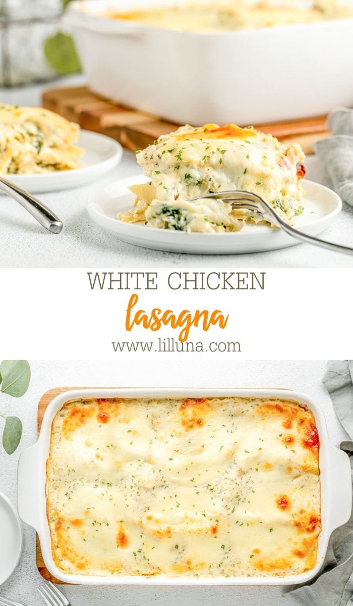 Chicken Lasagna {with Homemade White Sauce!} | Lil' Luna
