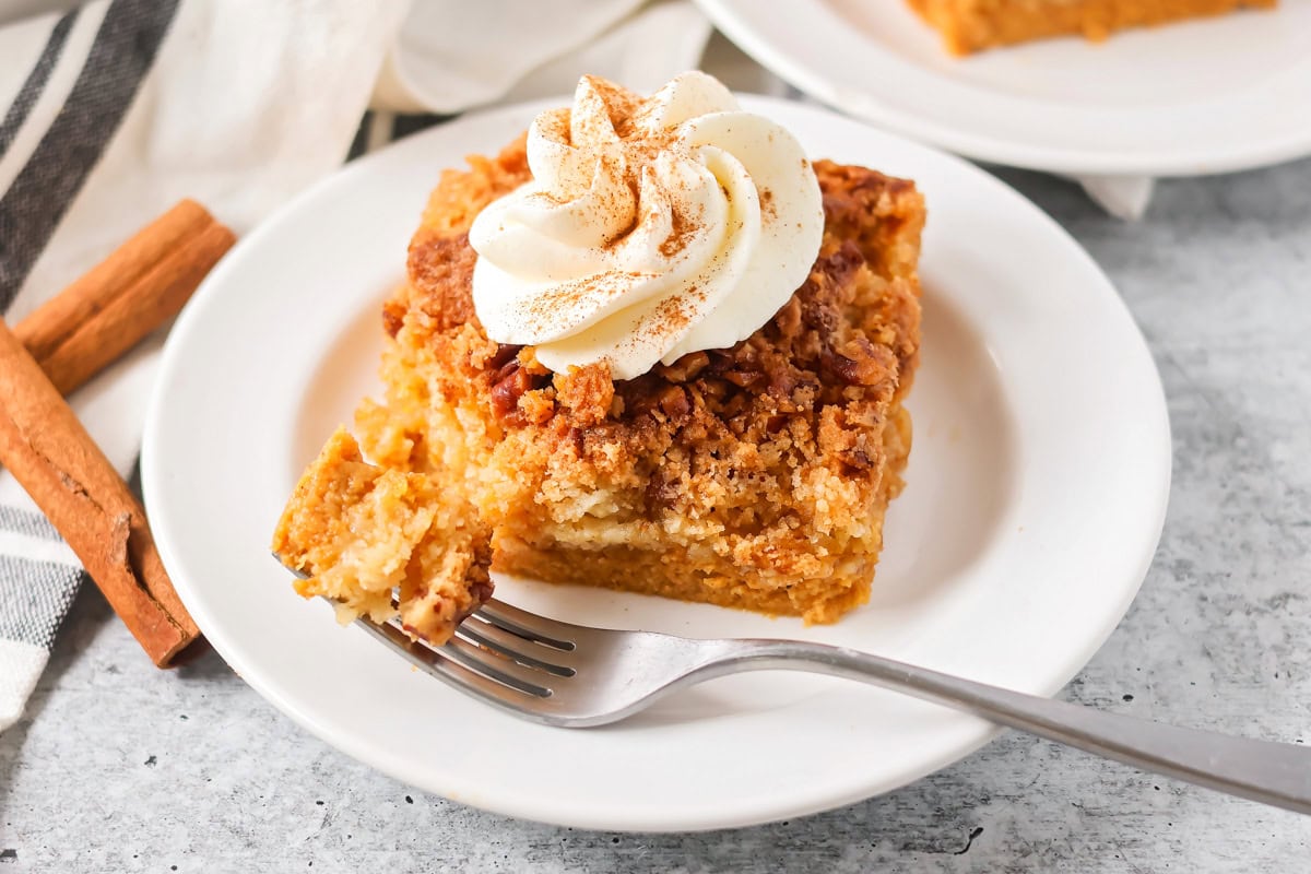 Pumpkin crunch cake on white plate with whipped cream on top and fork on the side.