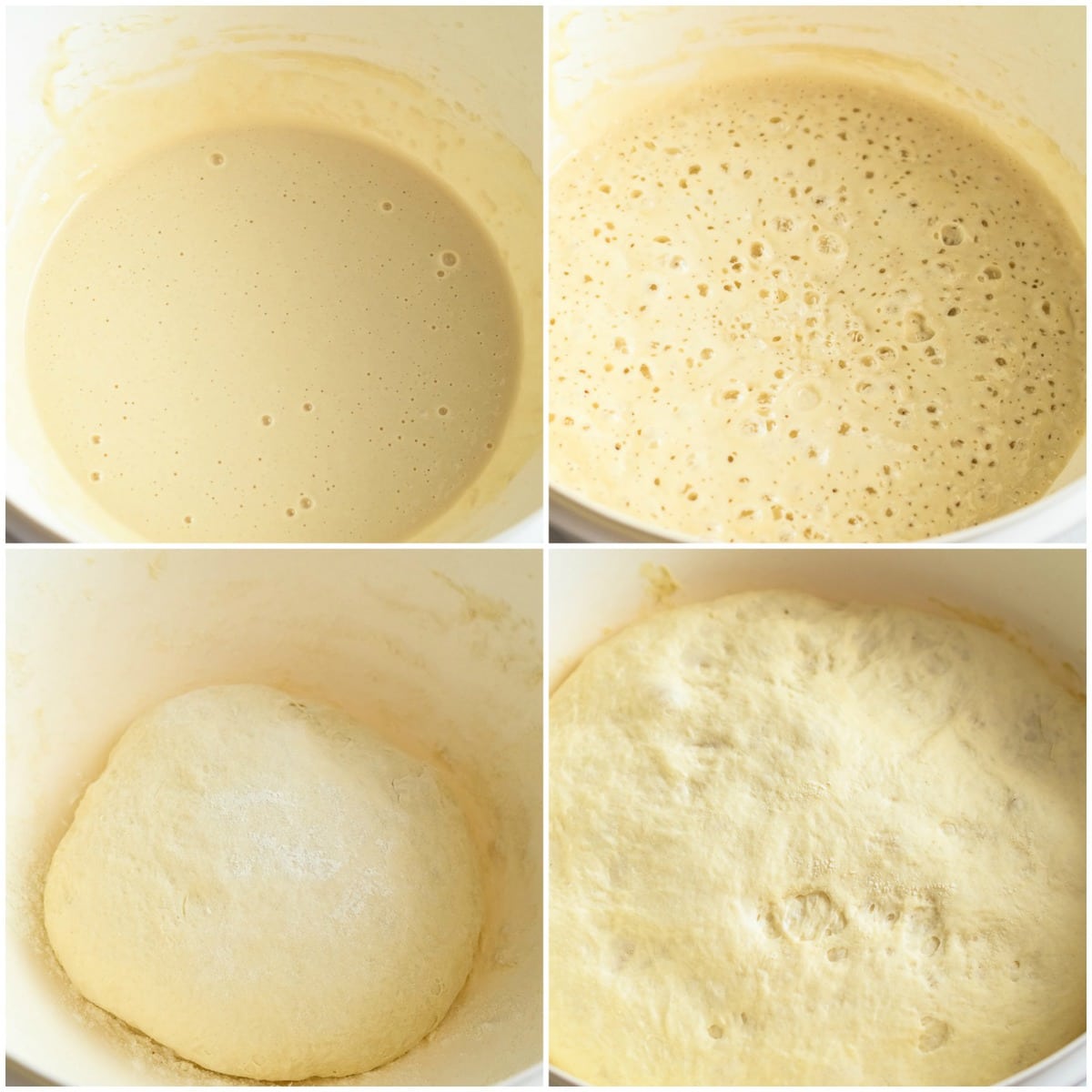 process shots for making homemade italian bread