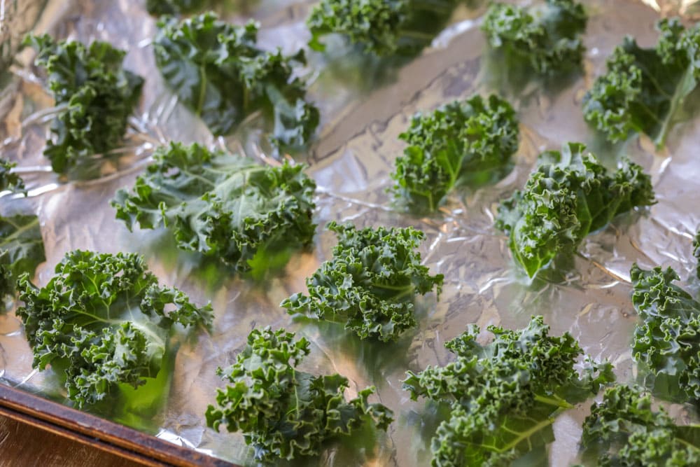 Fresh kale on a baking sheet to be made into kale chips