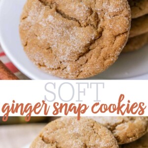 Ginger Snap Cookies {Soft & Chewy} + VIDEO | Lil' Luna