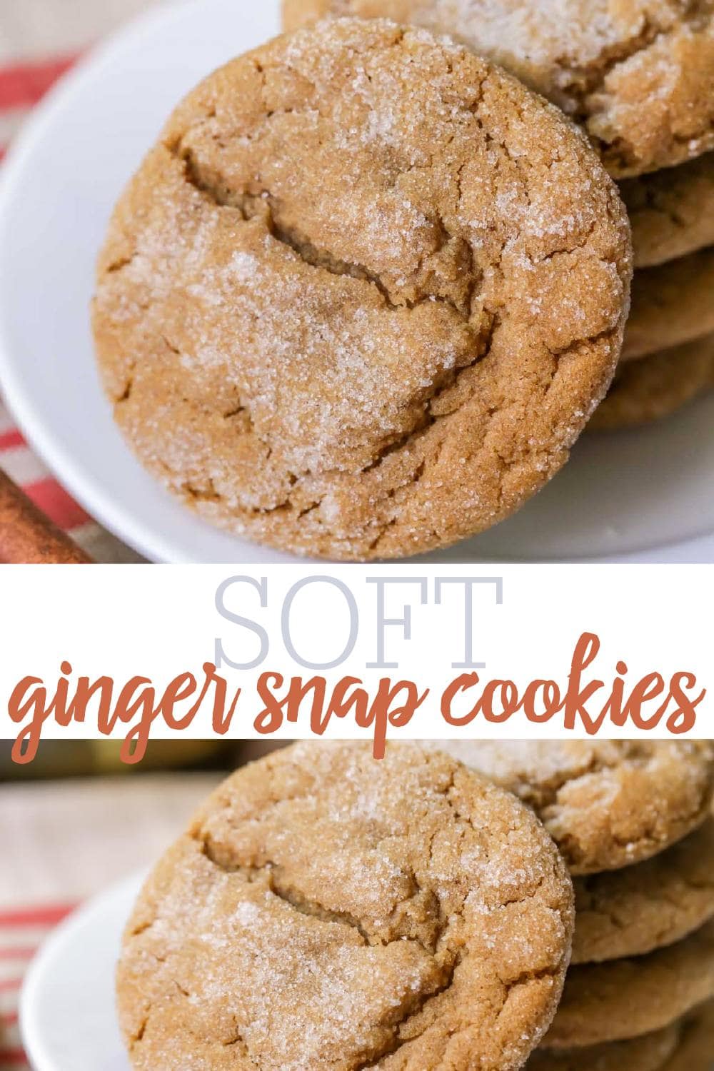 Ginger Snap Cookies {Soft & Chewy} + VIDEO Lil' Luna