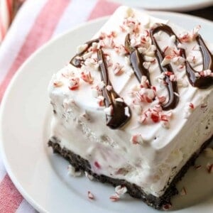 Peppermint ice cream dessert served on a white plate.