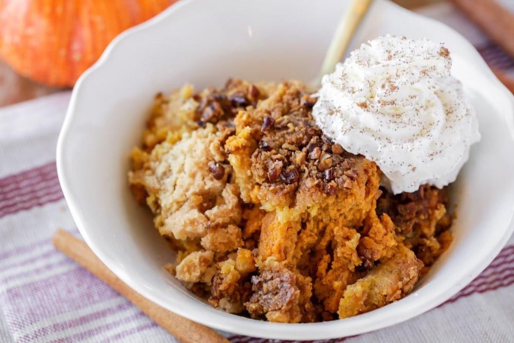 Easy Pumpkin cobbler with whipped cream in a white bowl.