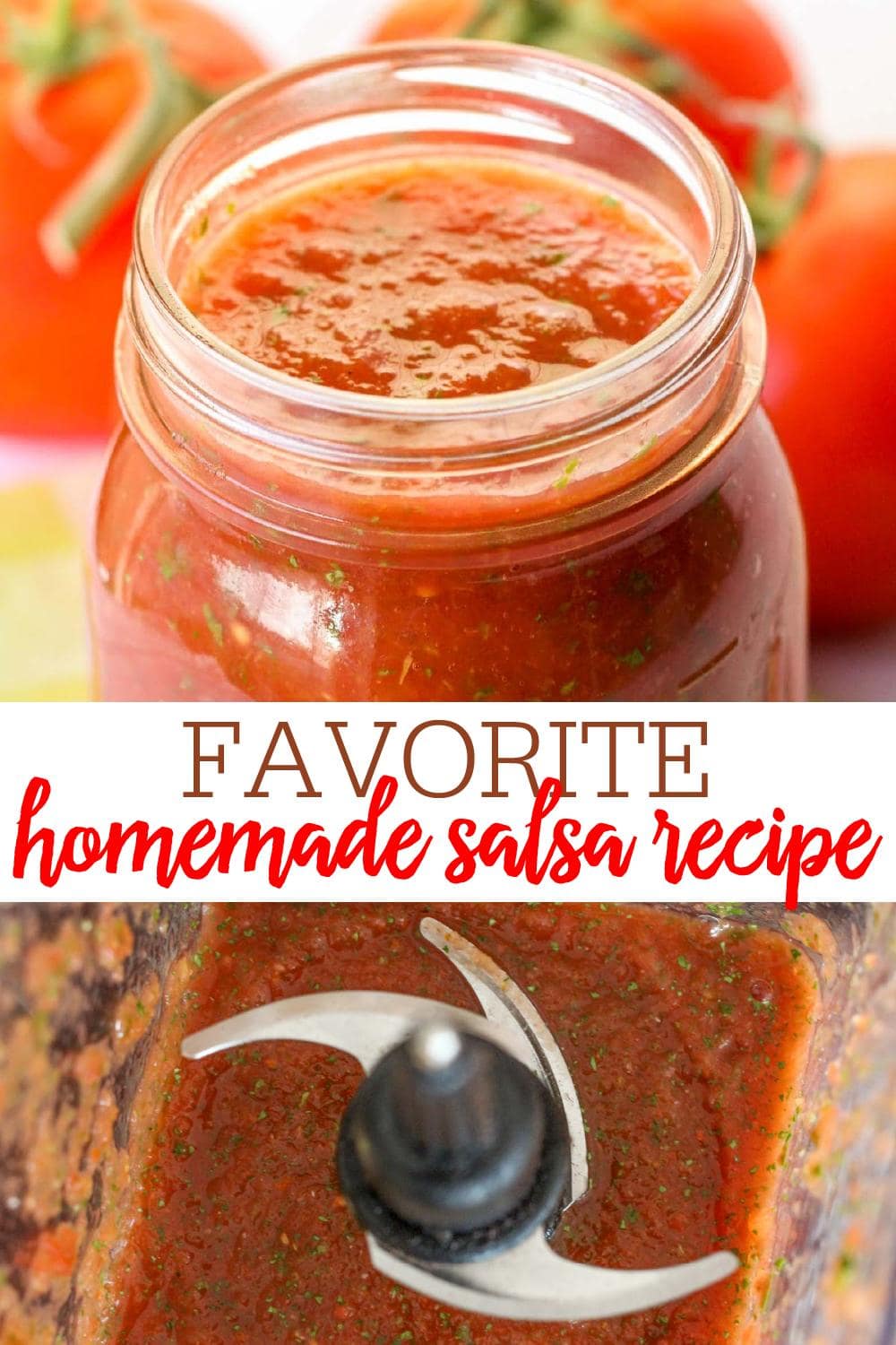 Top 8 How to make homemade salsa 2 The BEST Homemade Salsa (Restaurant-Style) VIDEO | Lil&039 Luna