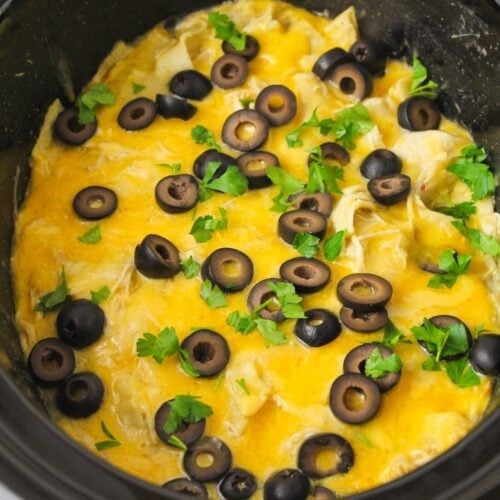 https://lilluna.com/wp-content/uploads/2019/12/cp-chicken-enchiladas-resize-6-1-500x500.jpg