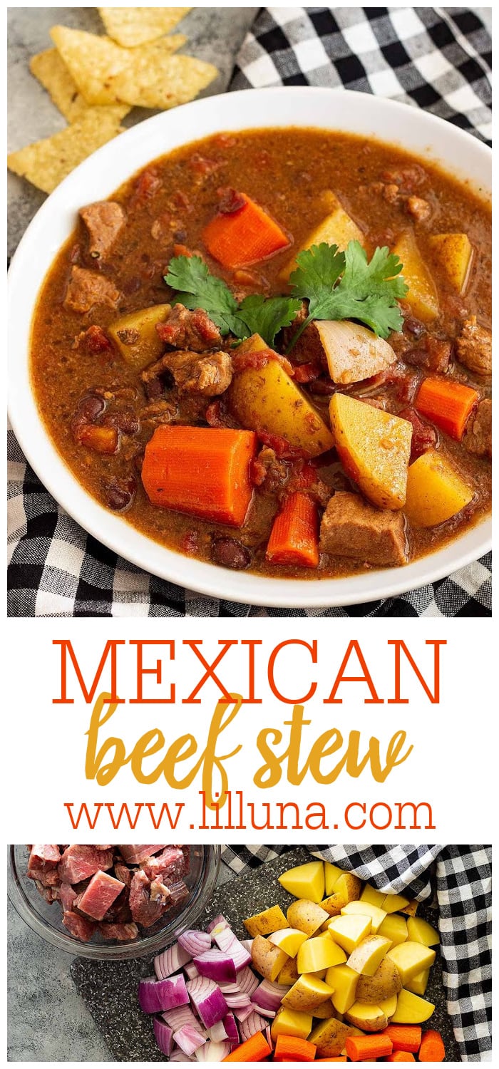 Mexican Beef Stew Recipe Lil Luna