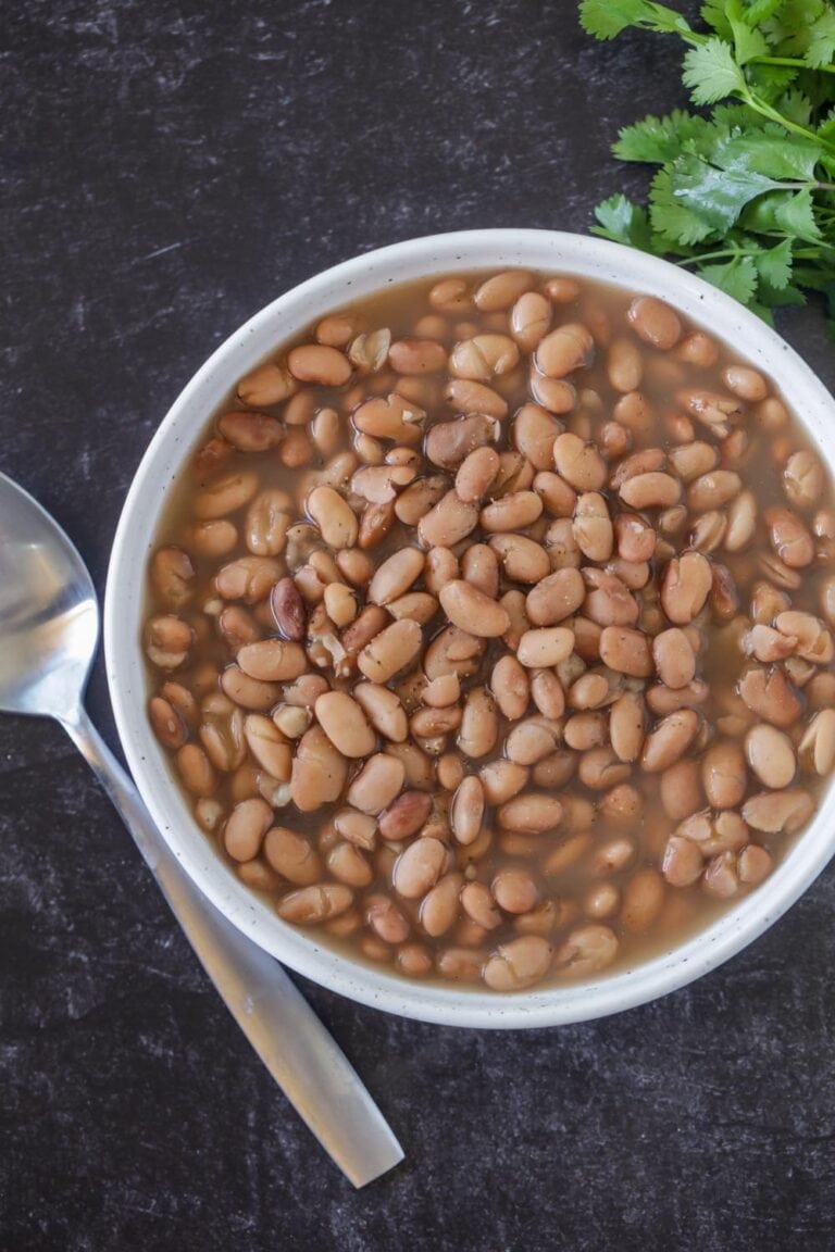 Crock Pot Pinto Beans Recipe | Lil' Luna