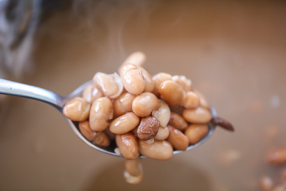 Slow cooker pinto beans