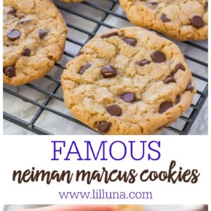 BEST 250 Neiman Marcus Cookies Lil Luna   Famous Neiman Marcus Cookies Long Collage 300x300 