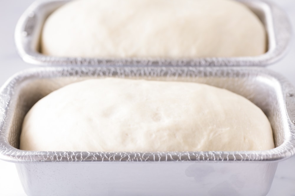 5 Ingredient Bread dough rising in two loaf pans