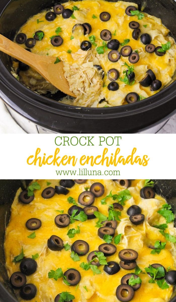 Crock Pot Chicken Enchiladas {Quick Prep! + VIDEO} Lil' Luna