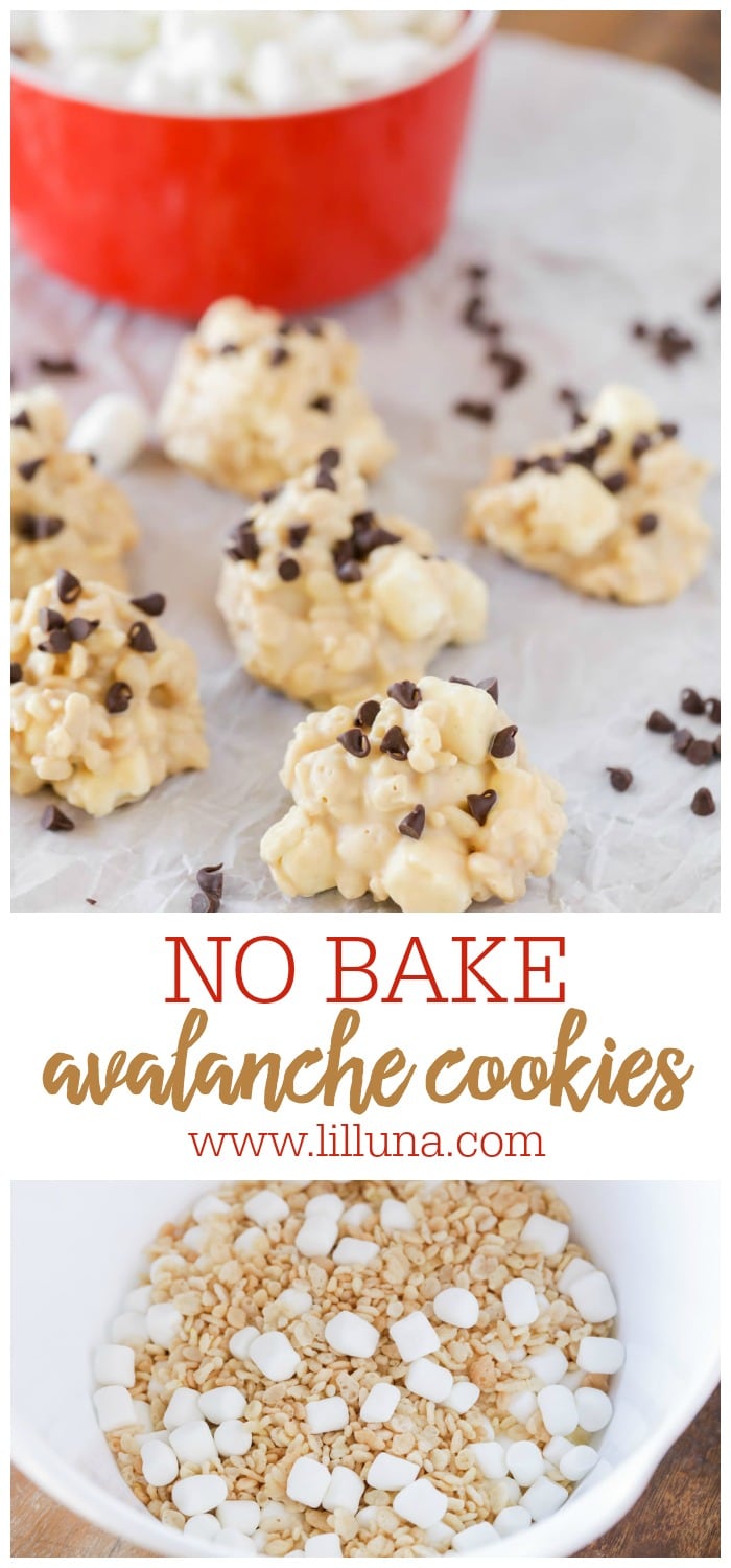 Avalanche Cookies Recipe {No Bake} | Lil' Luna