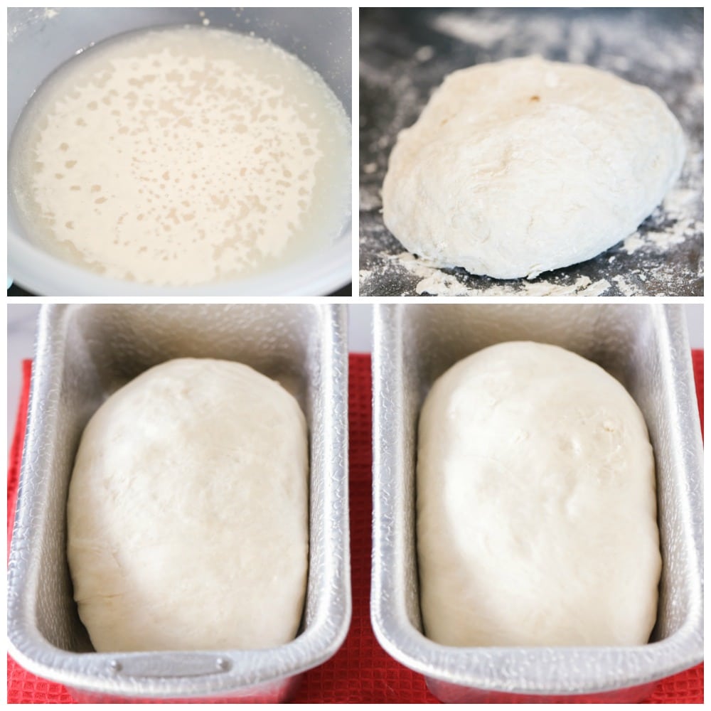 Making easy bread dough and letting it rise in pans