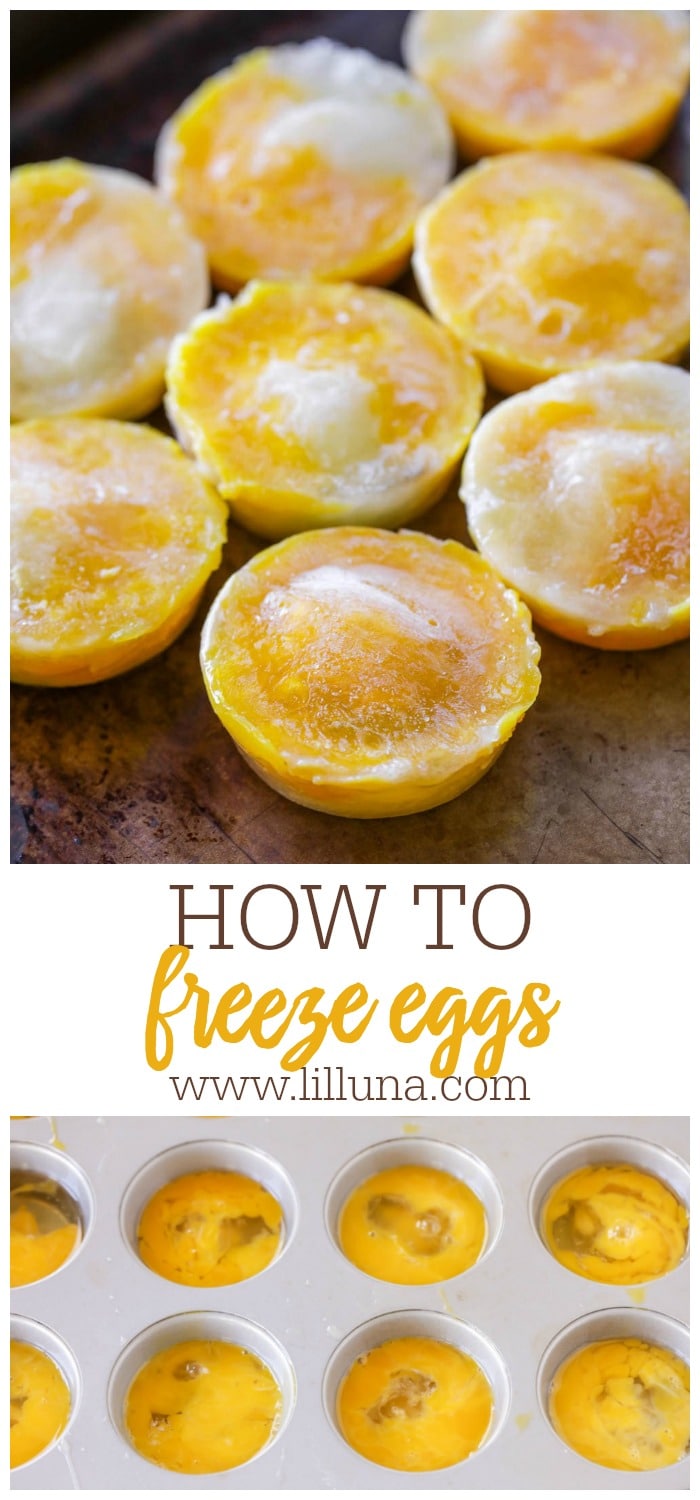 How to Freeze Eggs Lil' Luna