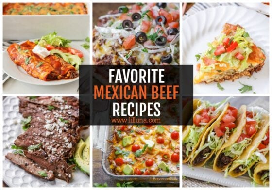 Mexican Beef Recipes {Ground, Shredded + Carne Asada!} | Lil' Luna