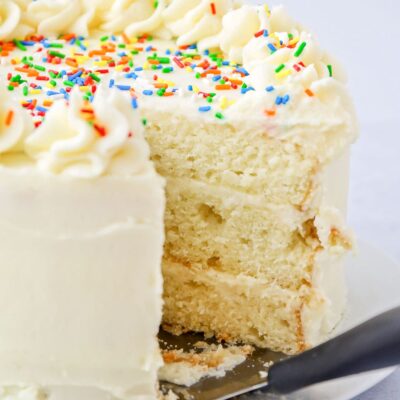 Vanilla Cake + 30 Easy Cake Recipes {+video} 