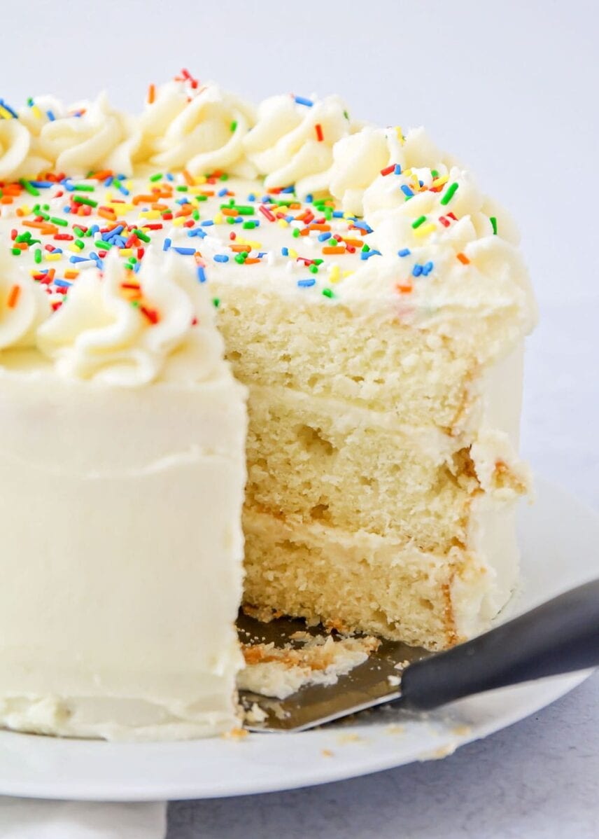 Vanilla Cake + 30 Easy Cake Recipes {+VIDEO} | Lil' Luna