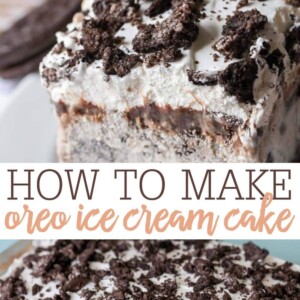 Oreo Ice Cream Cake {Just 5 Ingredients!}