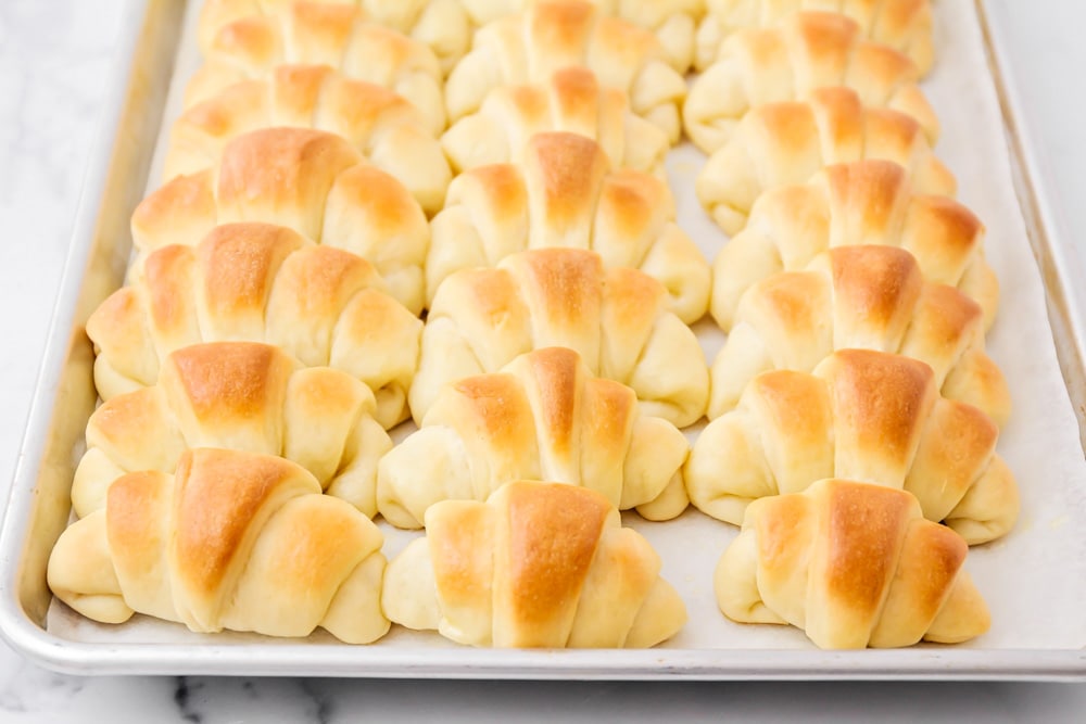 Dinner Rolls and Biscuits - Sheet pan filled with rows of crescent rolls.